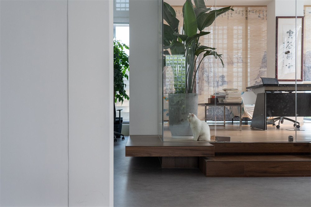 鄭州辦公室設(shè)計(jì)公司焦點(diǎn)品牌管理辦公室裝修案例(圖12) DM_20220830154837_014.jpg