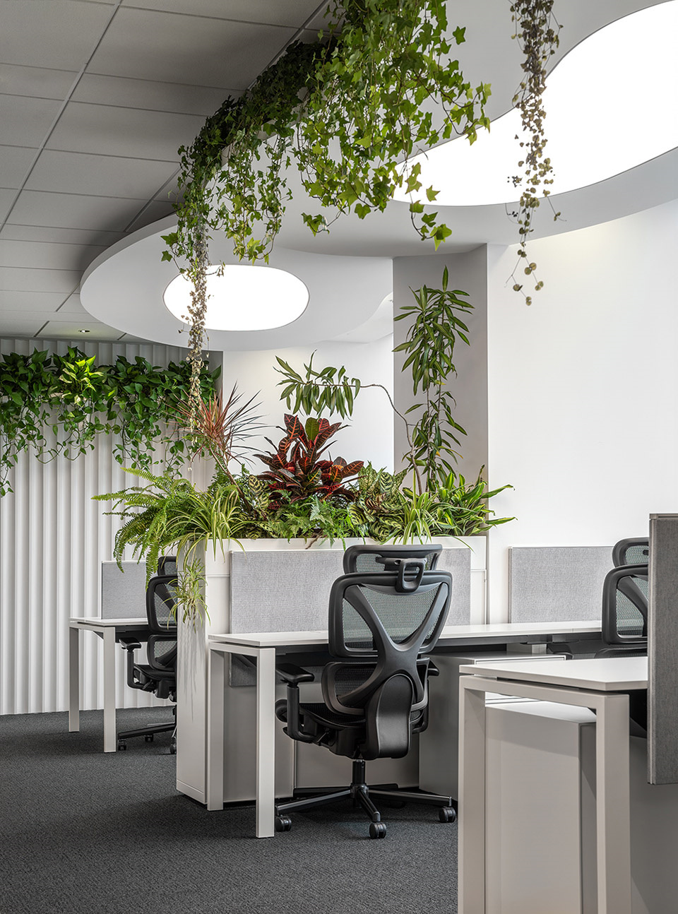 花園式辦公   元樸律師事務所裝修設計方案(圖7)